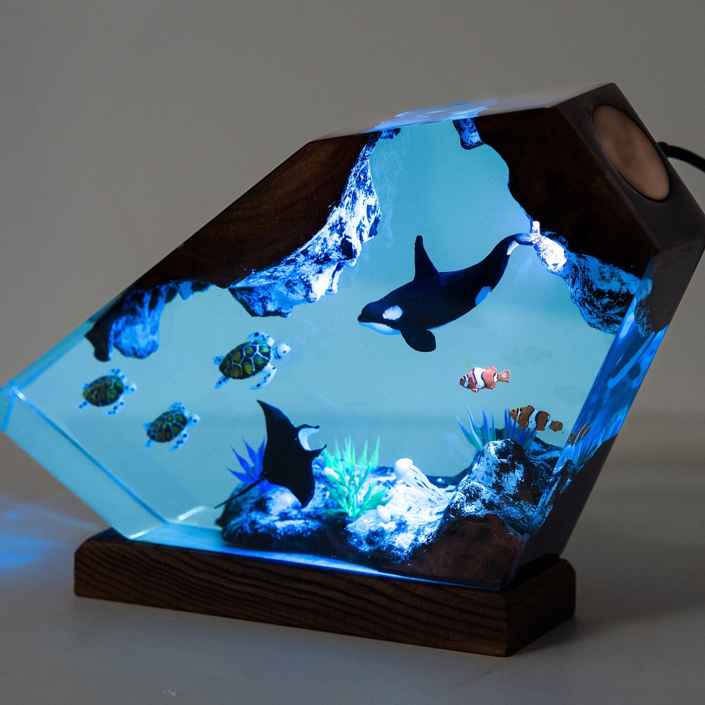 Various Sea Creatures Ocean Lamp